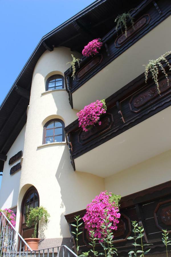 Pension Haus Erika Stadtprozelten Exterior photo